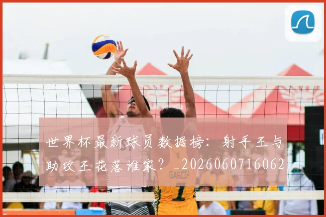 世界杯最新球员数据榜：射手王与助攻王花落谁家？_20260607160621